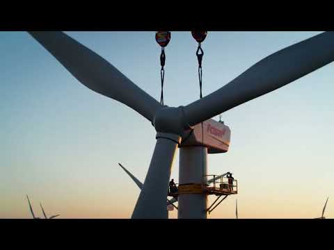 Do Wind Turbines Kill Birds? The Surprising Truth! 🐦⚡
