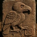 Cozcacuauhtli: Aztec Gúla Nappalátható Rejtélyeinek Felfedése